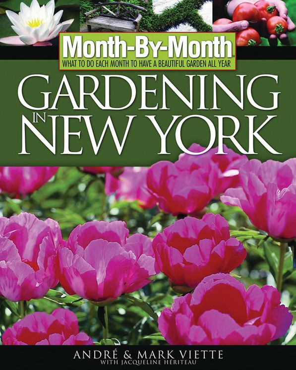 Month-by-month Gardening In New York: What to Do Each Month to Have a Beautiful Garden All Year