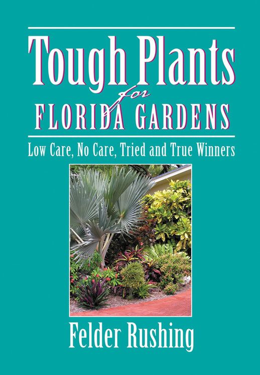 Tough Plants for Florida Gardens