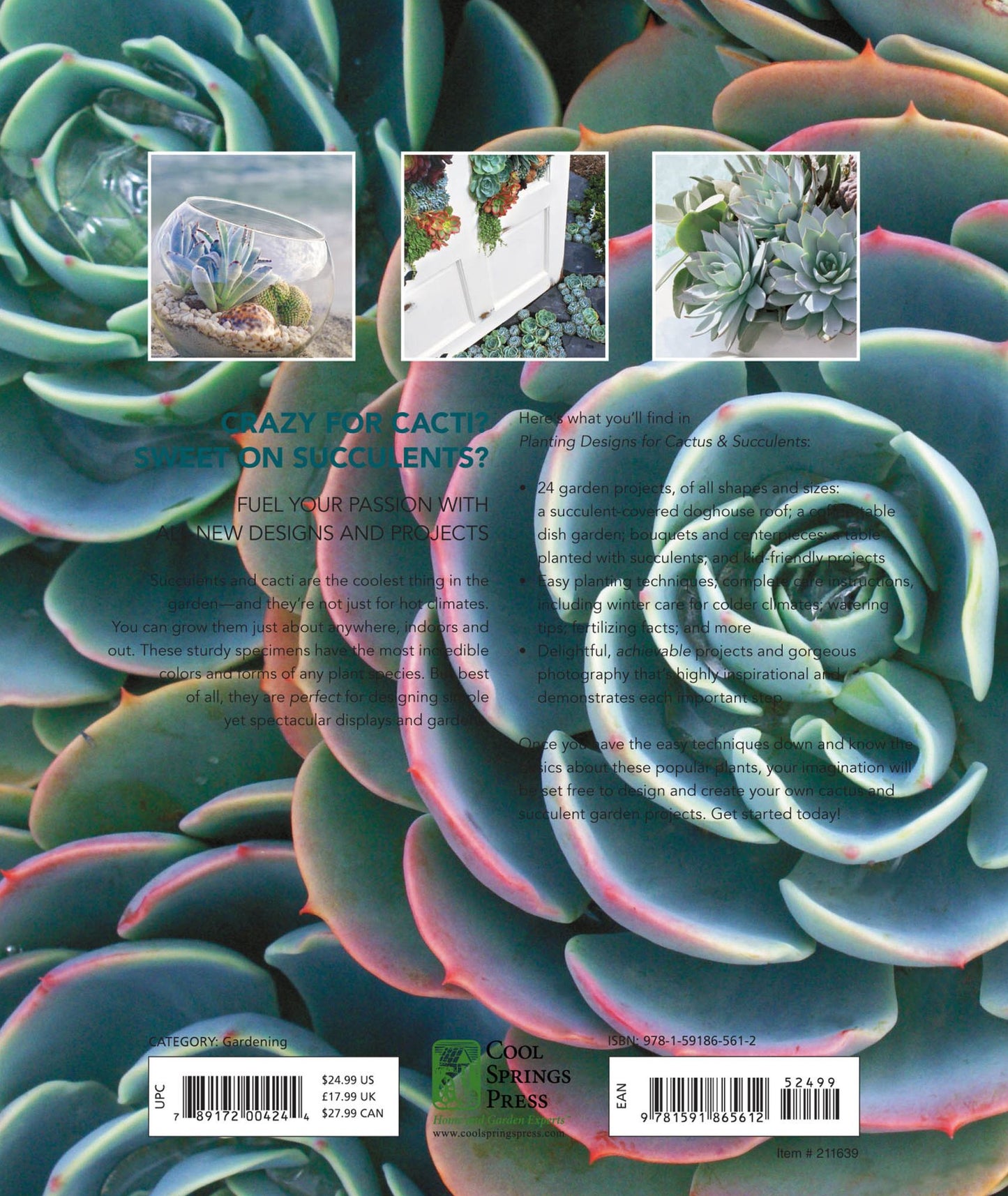 Planting Designs for Cactus & Succulents: Indoor and Outdoor Projects for Unique, Easy-Care Plants--in All Climates
