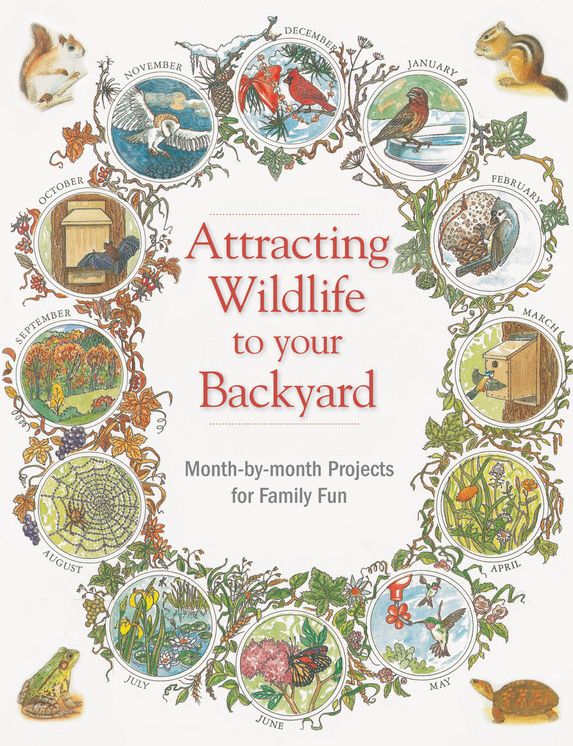 Attracting Wildlife to Your Backyard: Month-by-month projects for family fun