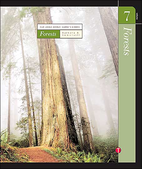 Forests
