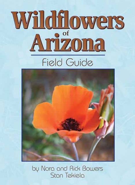 Wildflowers of Arizona Field Guide