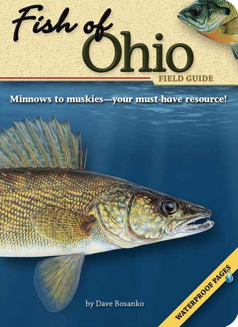 Fish of Ohio Field Guide