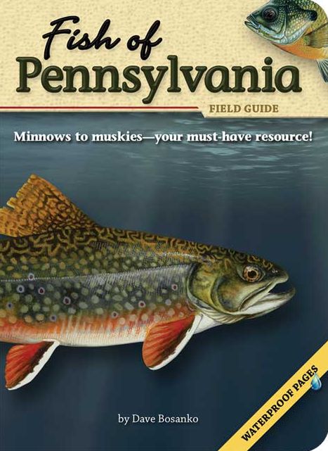 Fish of Pennsylvania Field Guide