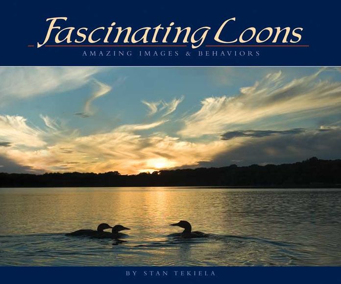 Fascinating Loons: Amazing Images and Behaviors