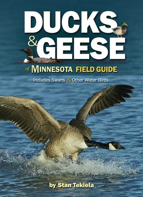 Ducks and Geese of Minnesota Field Guide: Includes Swans and Other Water Birds