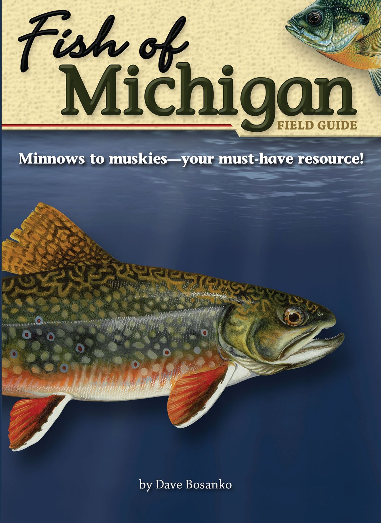 Fish of Michigan: Field Guide