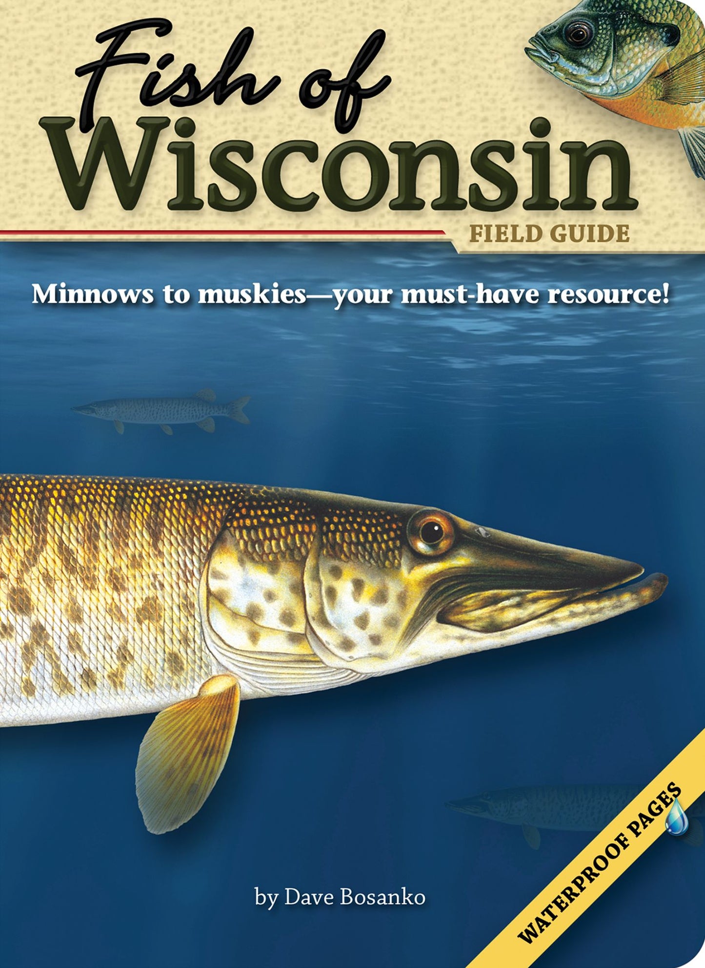 Fish of Wisconsin: A Field Guide