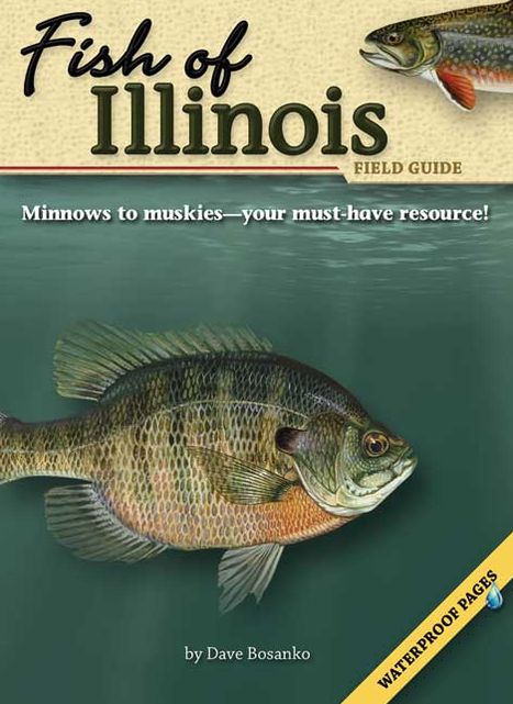 Fish of Illinois Field Guide