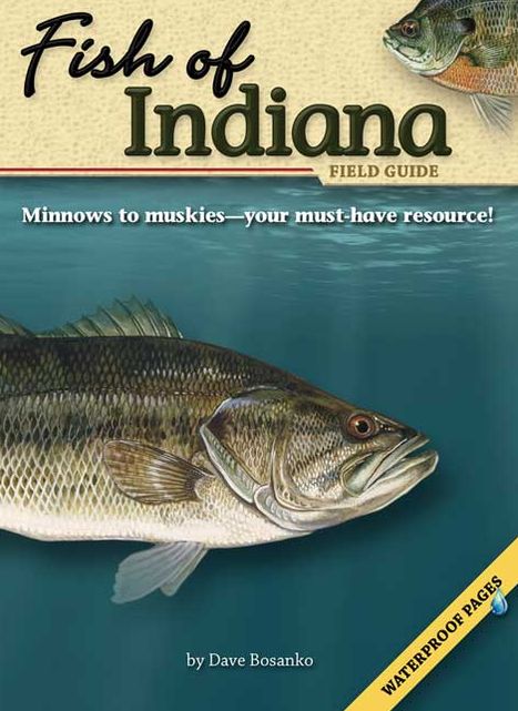 Fish of Indiana Field Guide