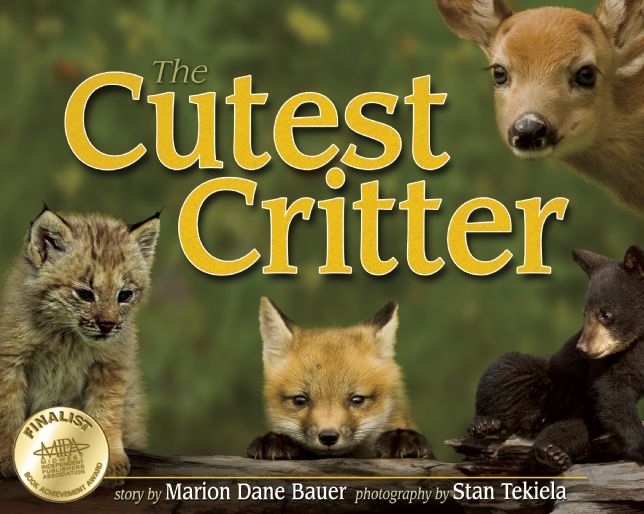 The Cutest Critter