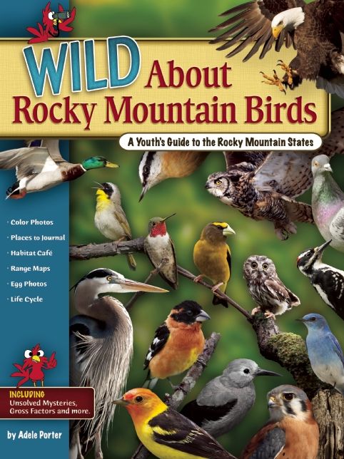 Wild About Rocky Mountain Birds: A Youth's Guide to the Rocky Mountain States
