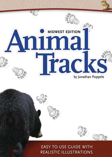 Animal Tracks: Midwest Edition
