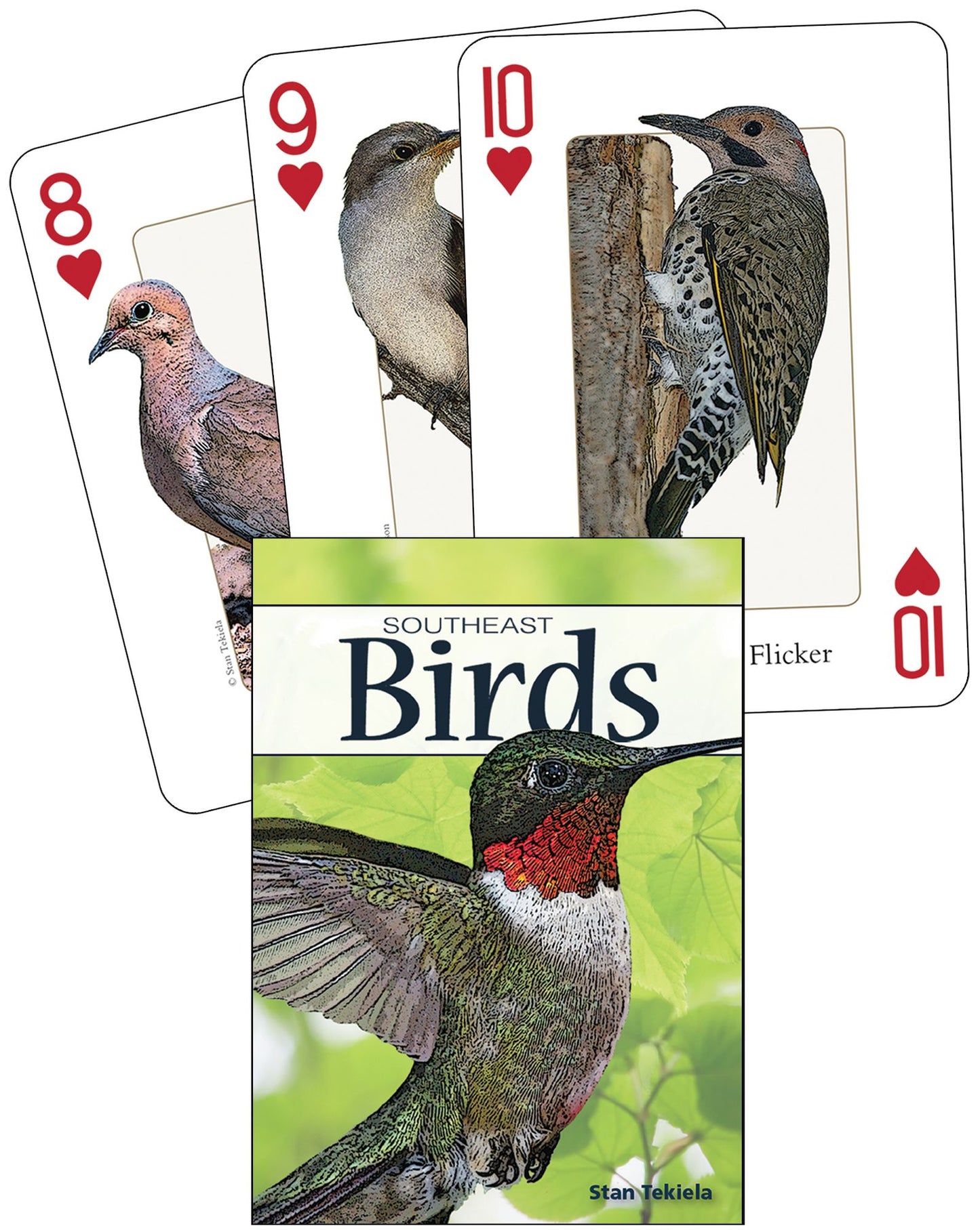 Birds of the Southeast Playing Cards