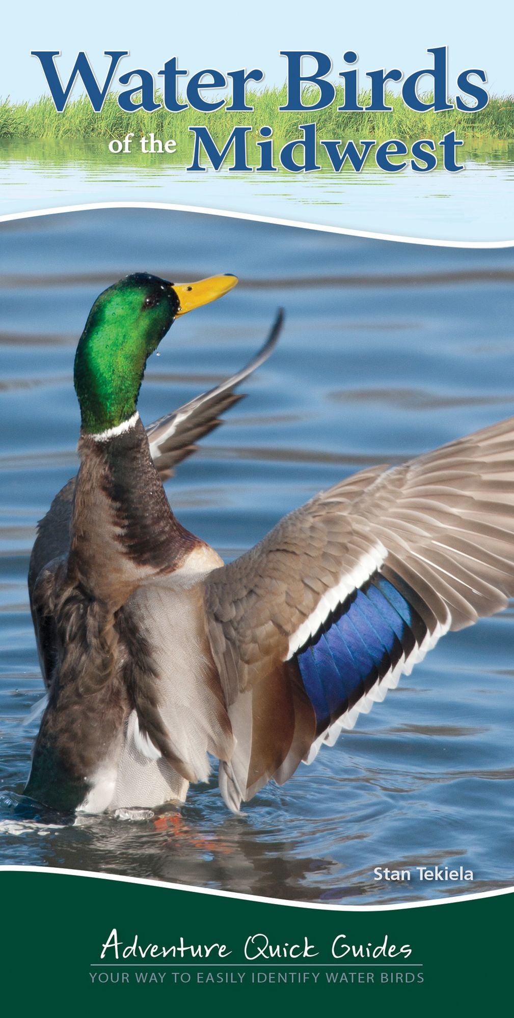 Water Birds of the Midwest