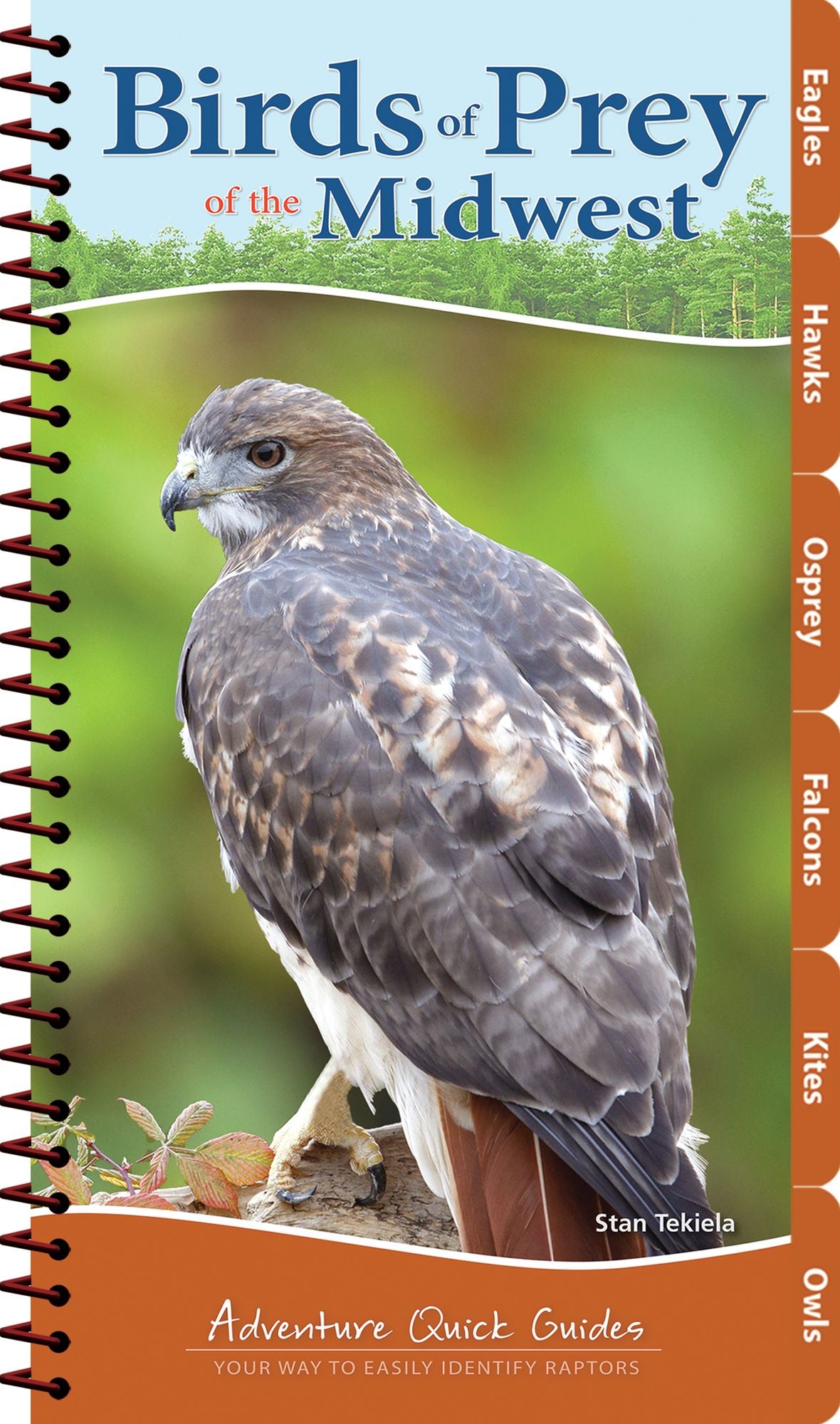 Birds of Prey of the Midwest Quick Guide