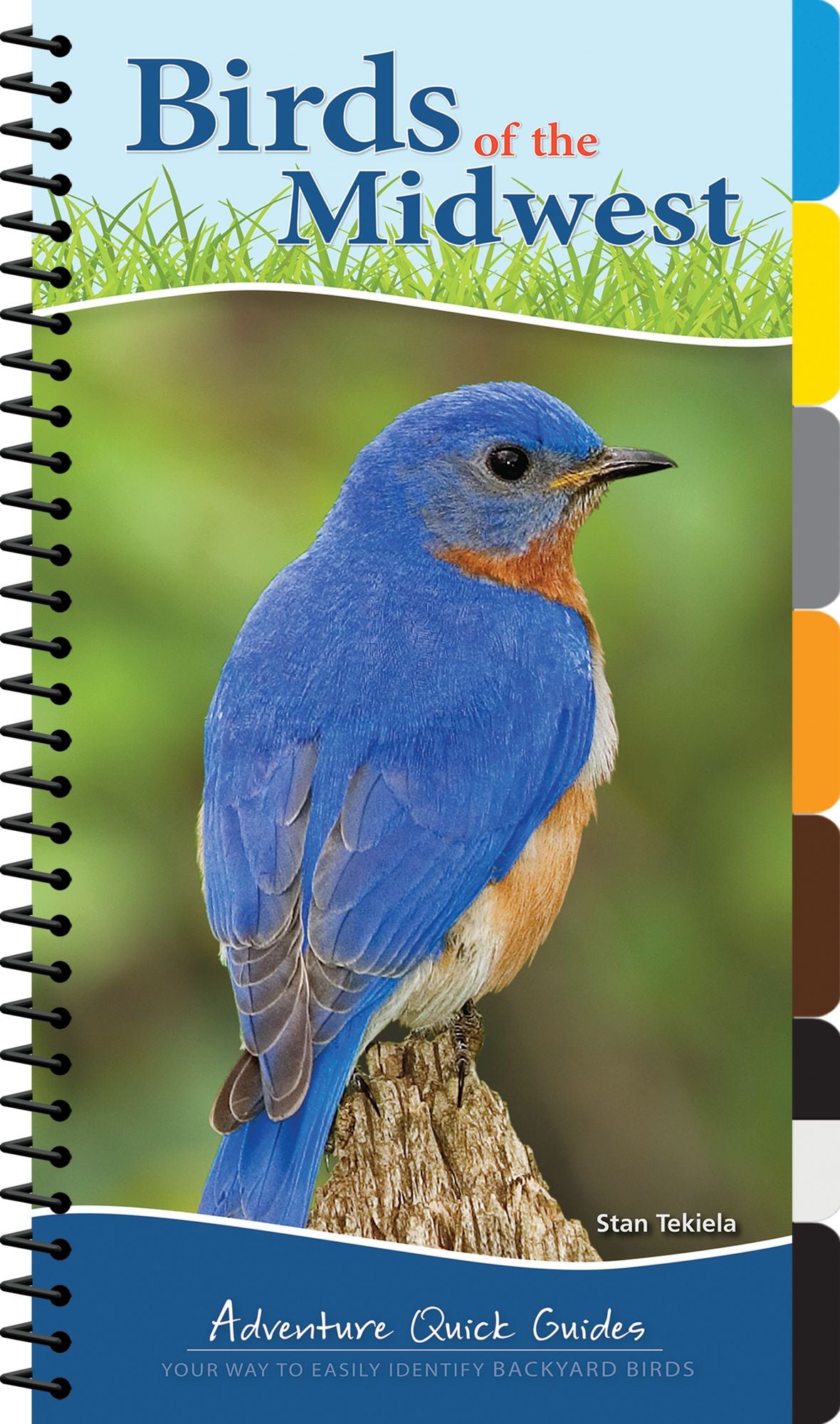 Birds of the Midwest (Adventure Quick Guide)