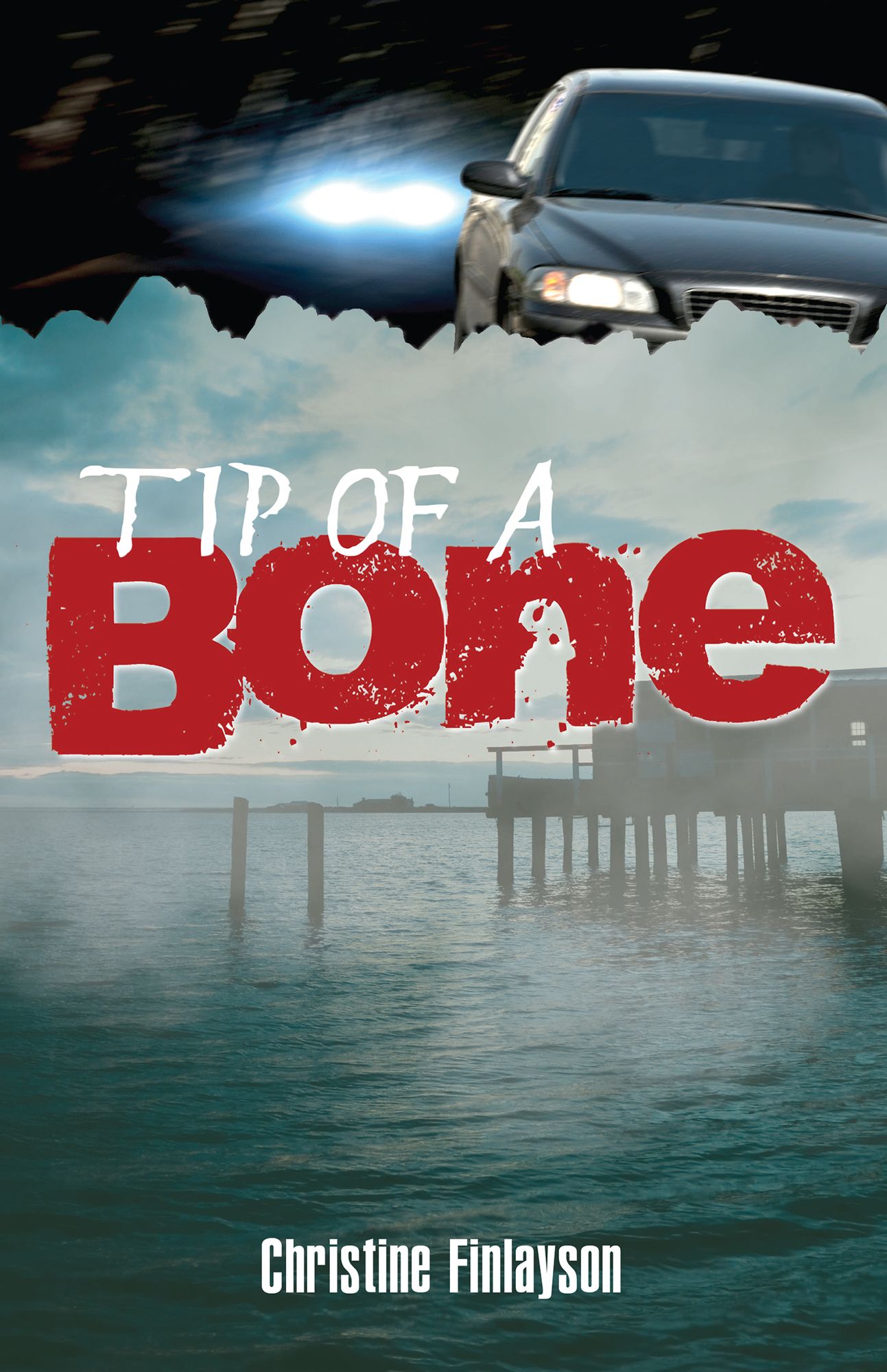 Tip of a Bone