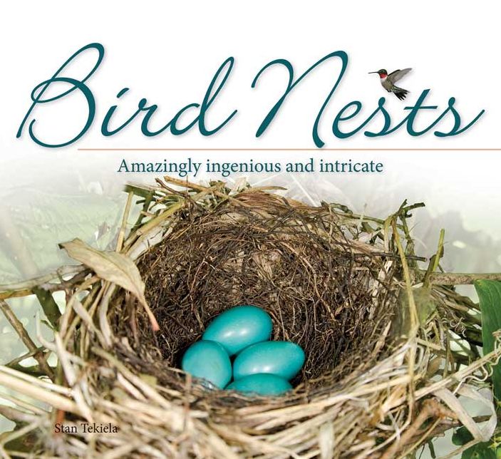 Bird Nests: Amazingly Ingenious and Intricate