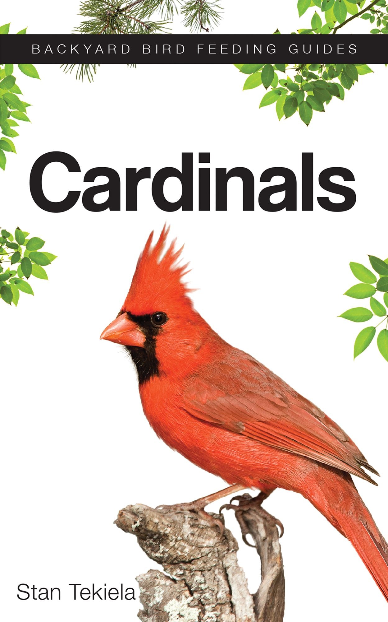 Cardinals