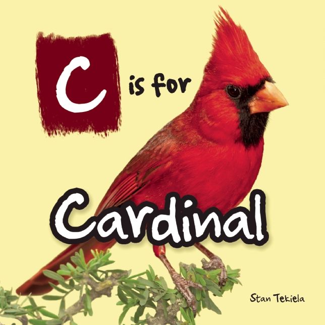 C is for Cardinal