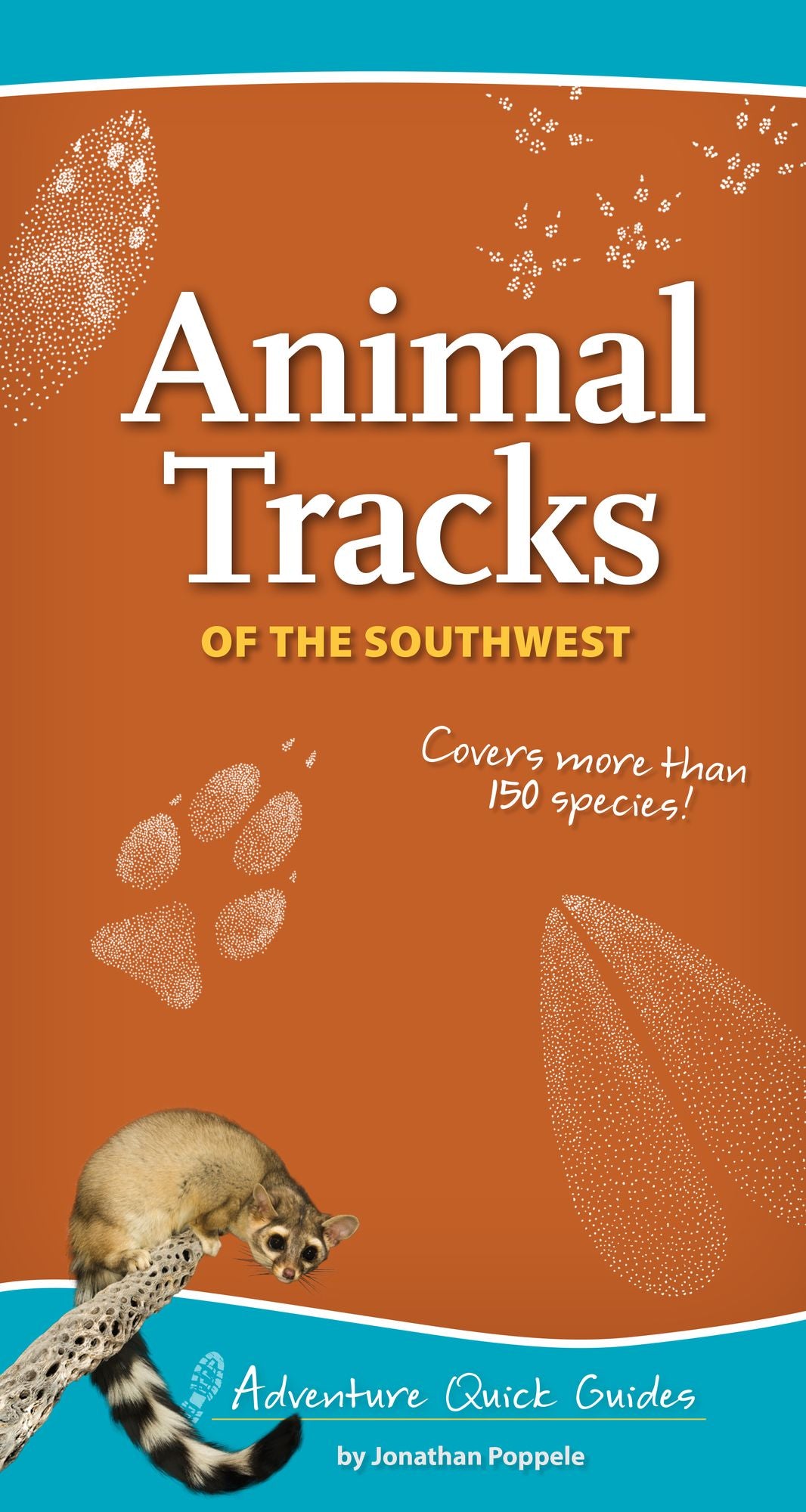 Animal Tracks of the Southwest