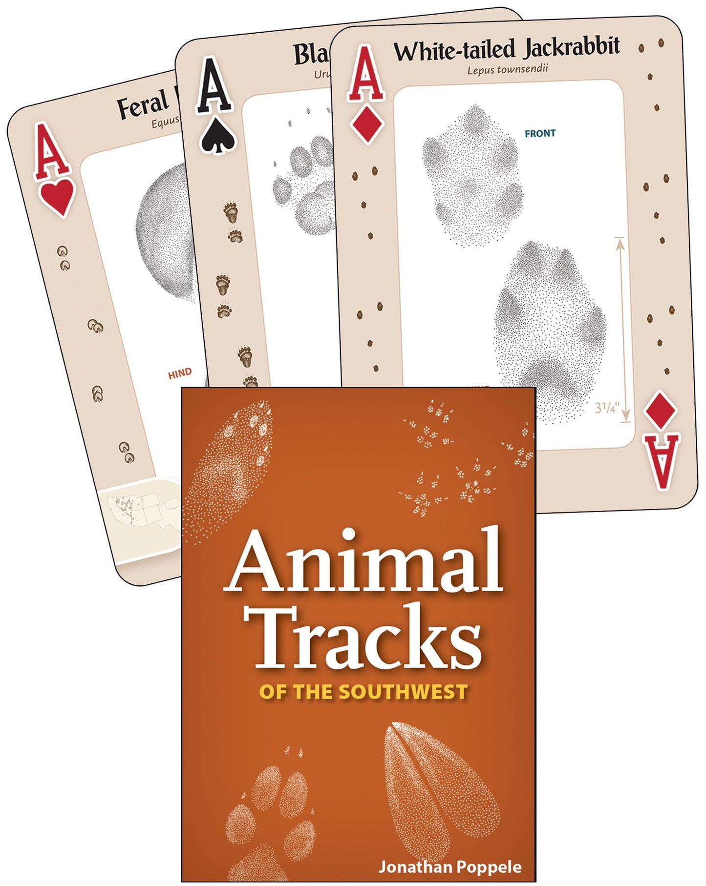 Animal Tracks of the Southwest