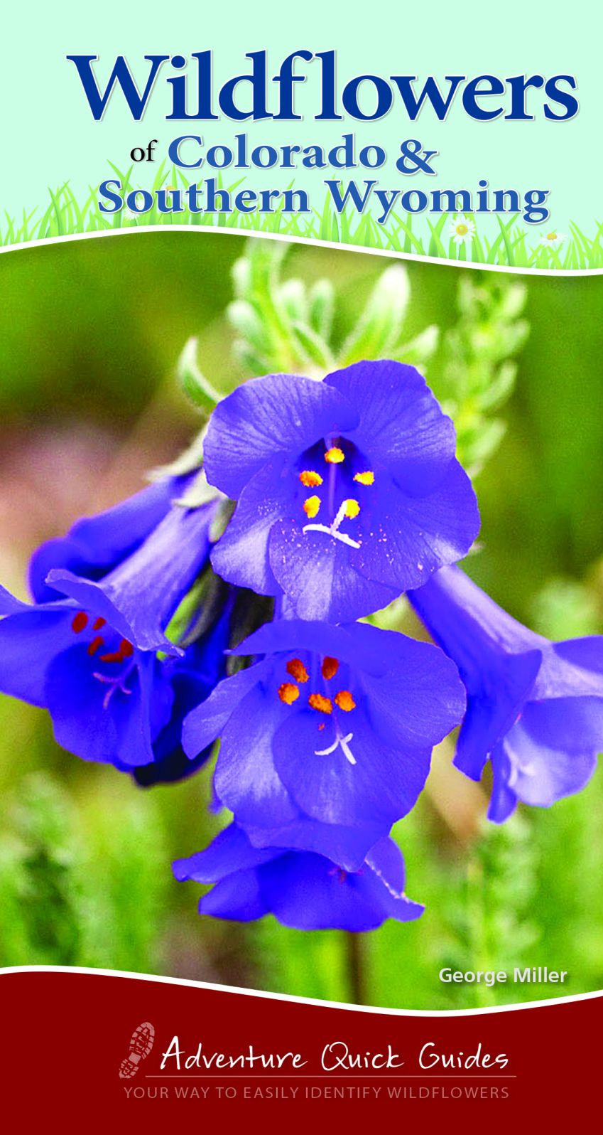 Wildflowers of Colorado & Southern Wyoming