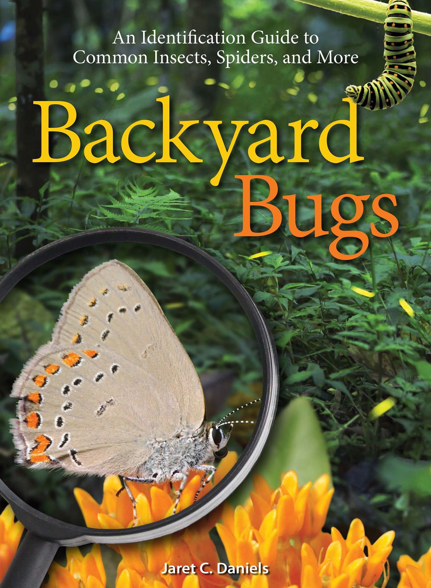 Backyard Bugs: An Identification Guide to Common Insects, Spiders and More