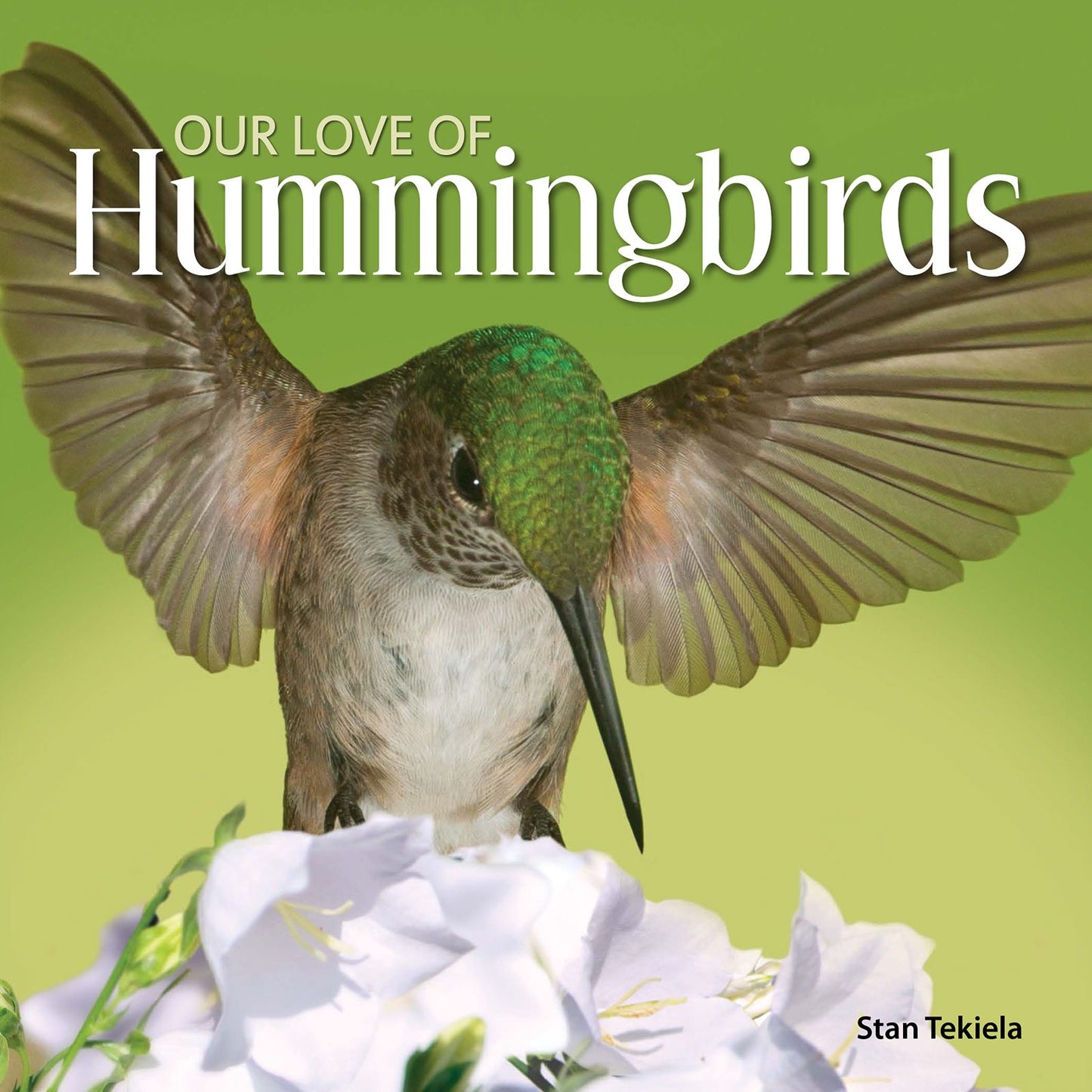 Our Love of Hummingbirds