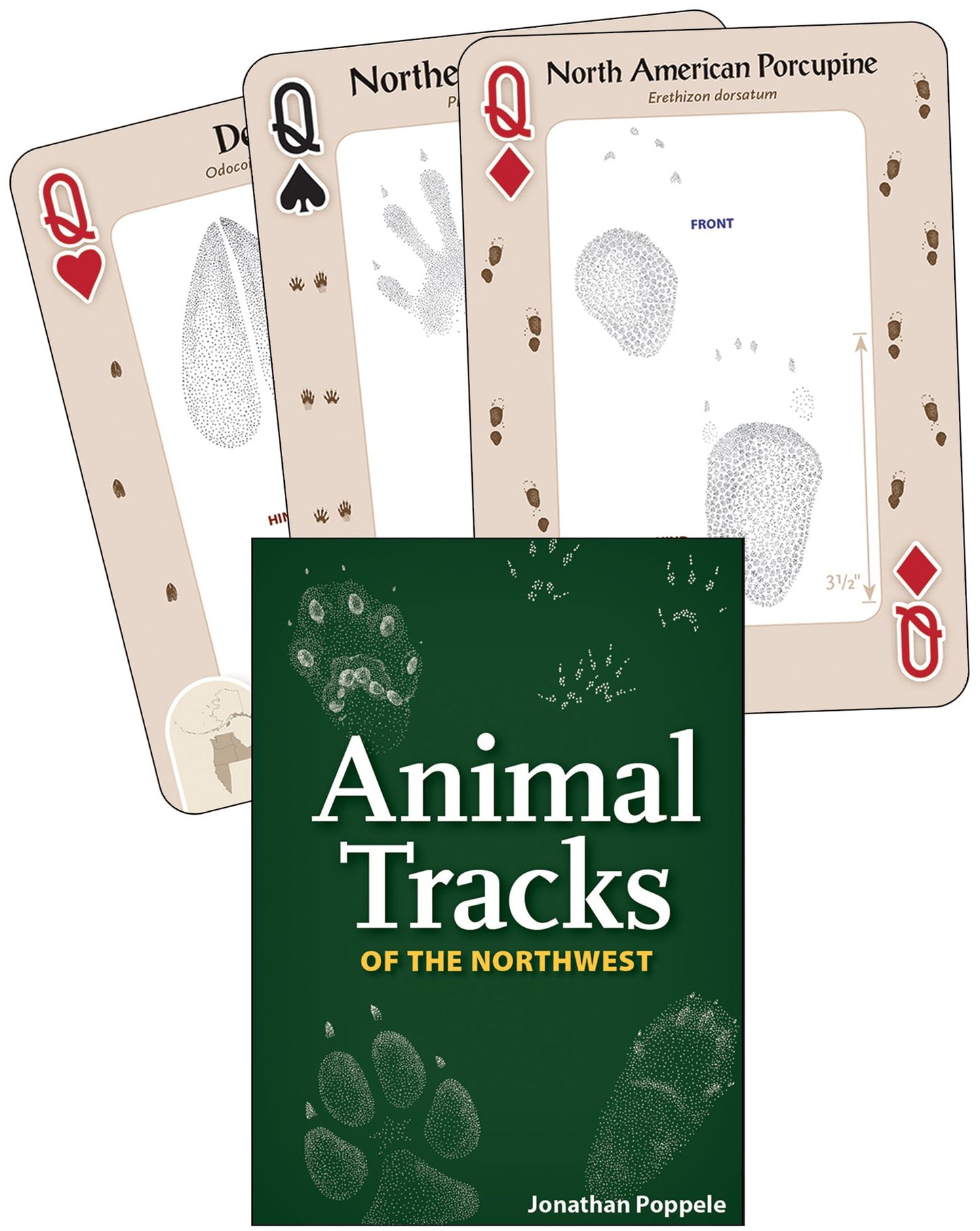 Animal Tracks of the Northwest
