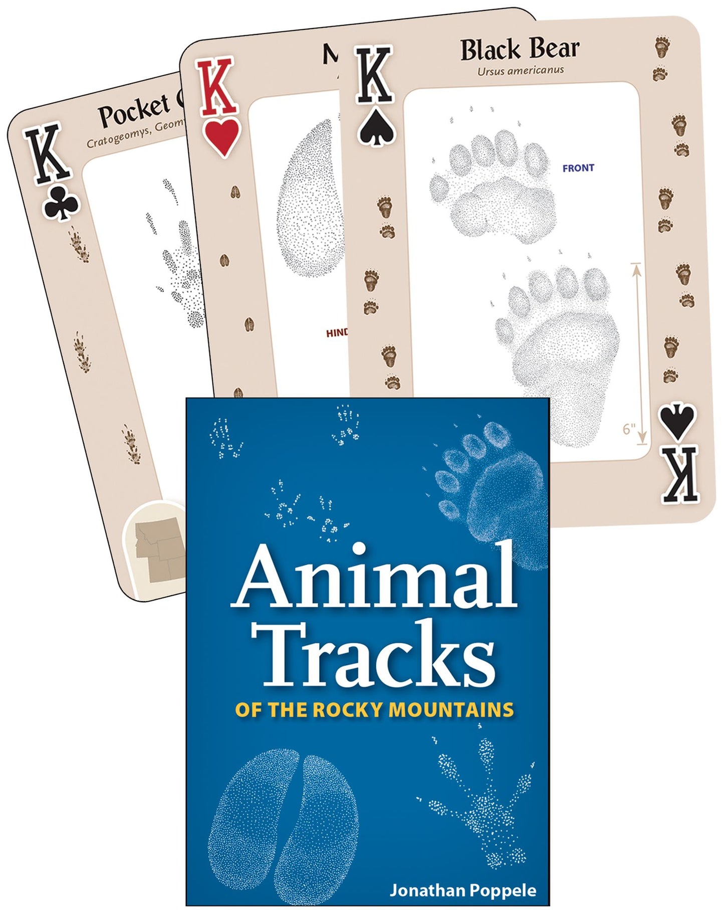 Animal Tracks of the Rocky Mountains