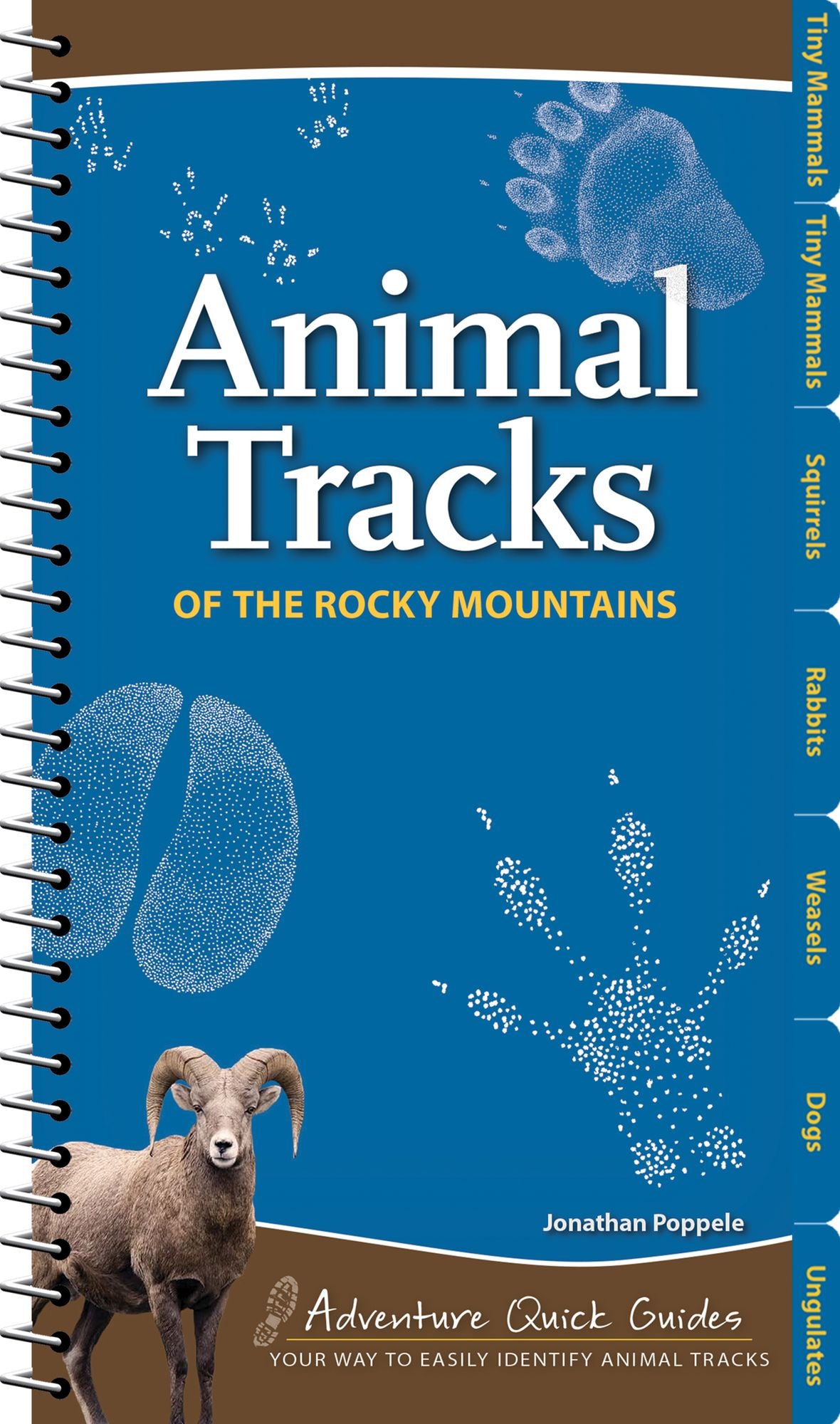 Animal Tracks of the Rocky Mountains