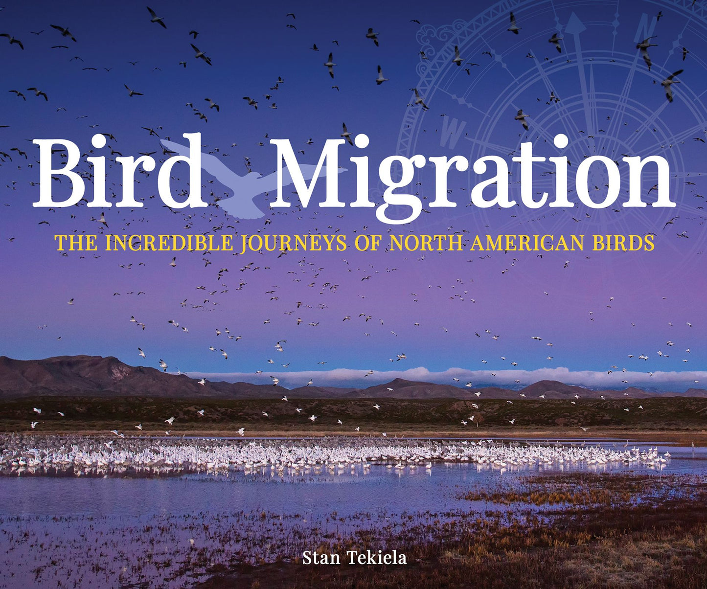 Bird Migration: The Incredible Journey of North American Birds