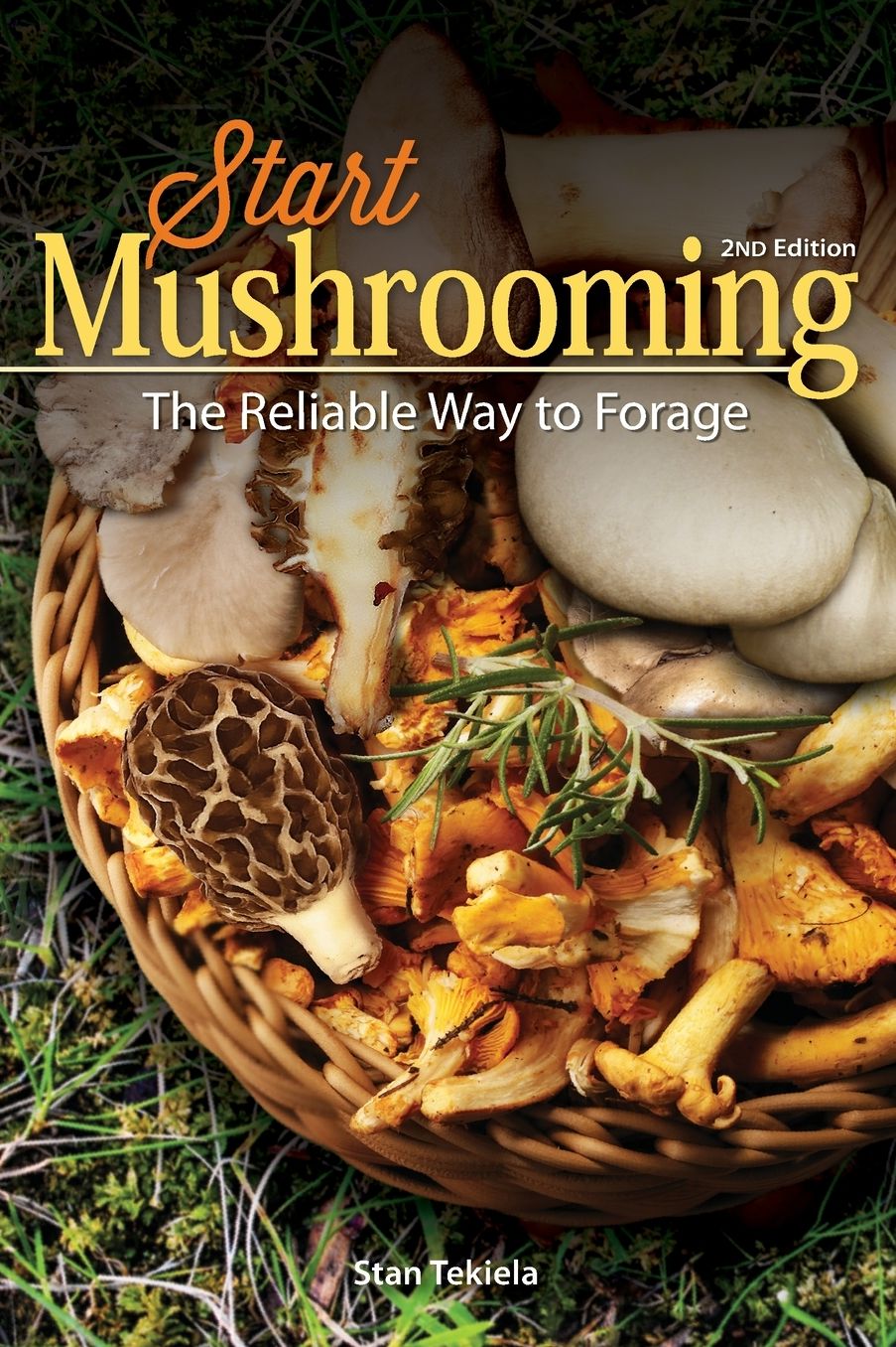 Start Mushrooming: The Foolproof Way to Forage