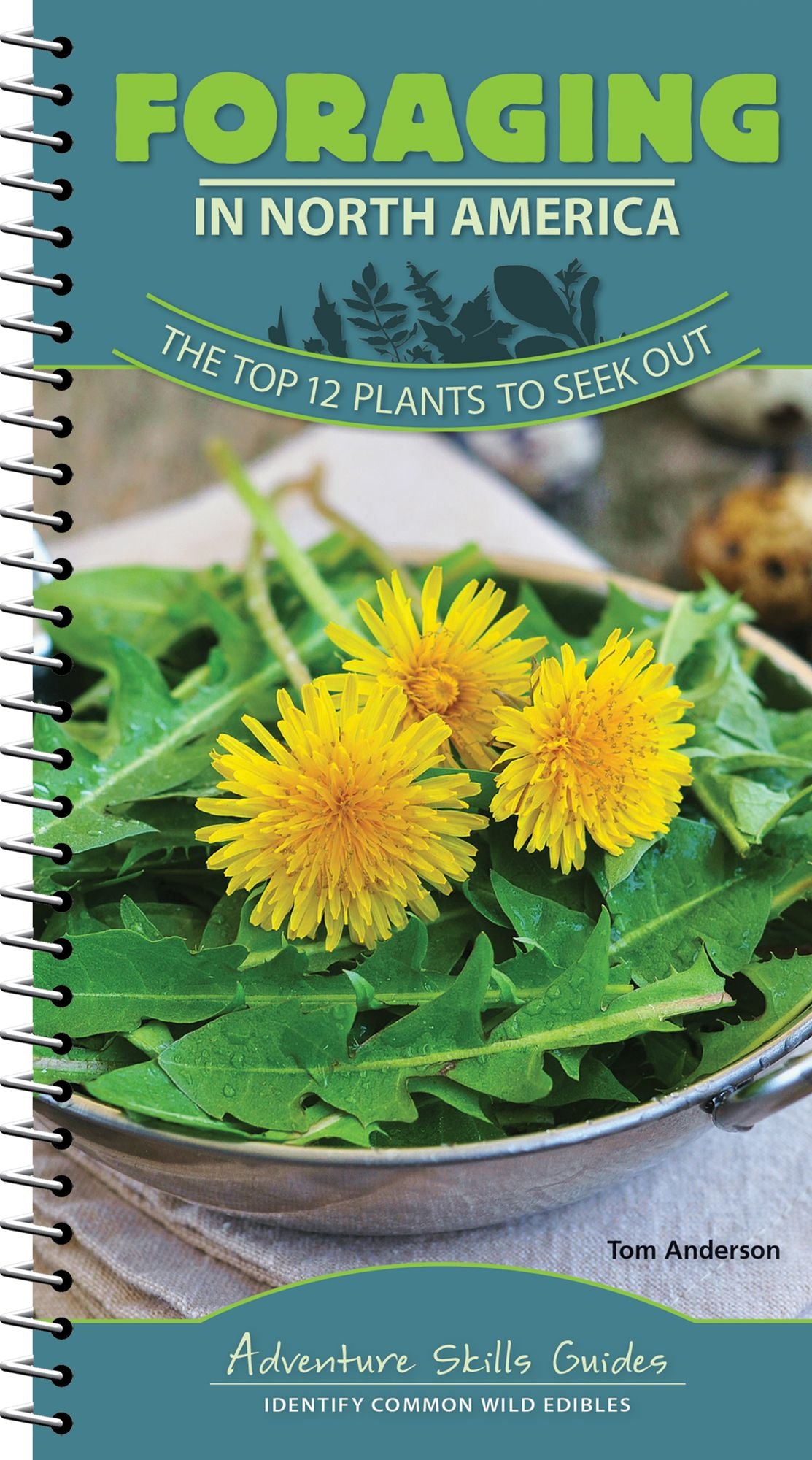 Foraging in North America: The Top 14 Plants to Seek Out