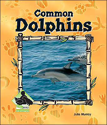 Common Dolphins