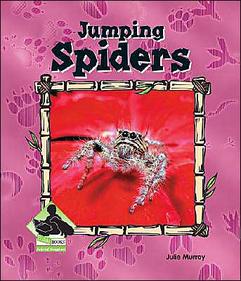 Jumping Spiders