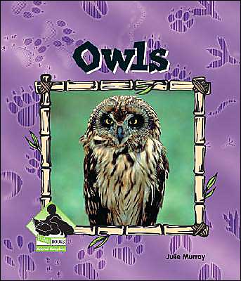Owls