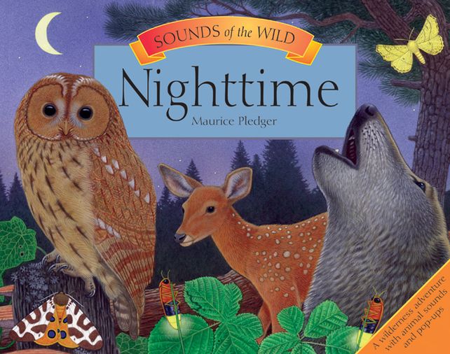 Nightime (Sounds of the Wild Series)