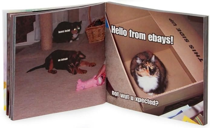 I Can Has Cheezburger?: A LOLcat Colleckshun
