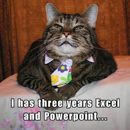 How to Take over Teh Wurld: A LOLcat Guide 2 Winning