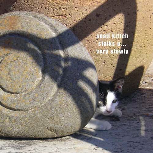 How to Take over Teh Wurld: A LOLcat Guide 2 Winning