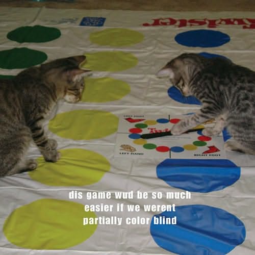 How to Take over Teh Wurld: A LOLcat Guide 2 Winning