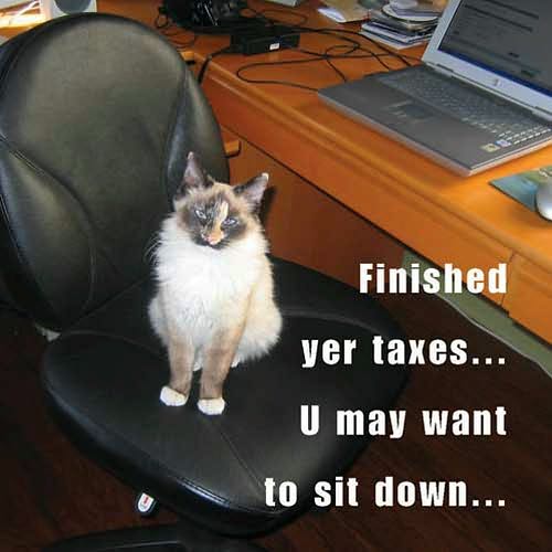 How to Take over Teh Wurld: A LOLcat Guide 2 Winning