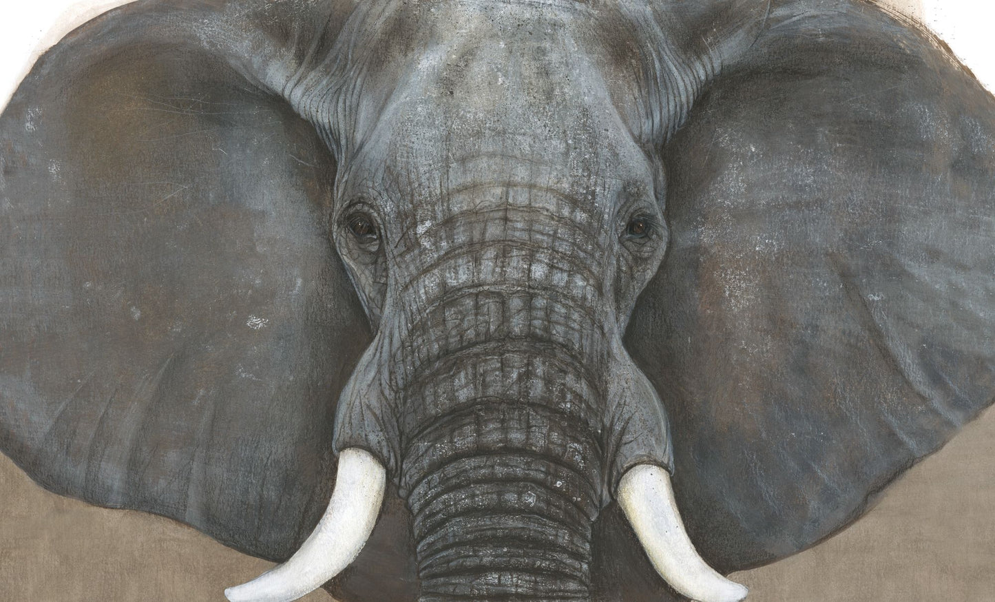 The Elephant