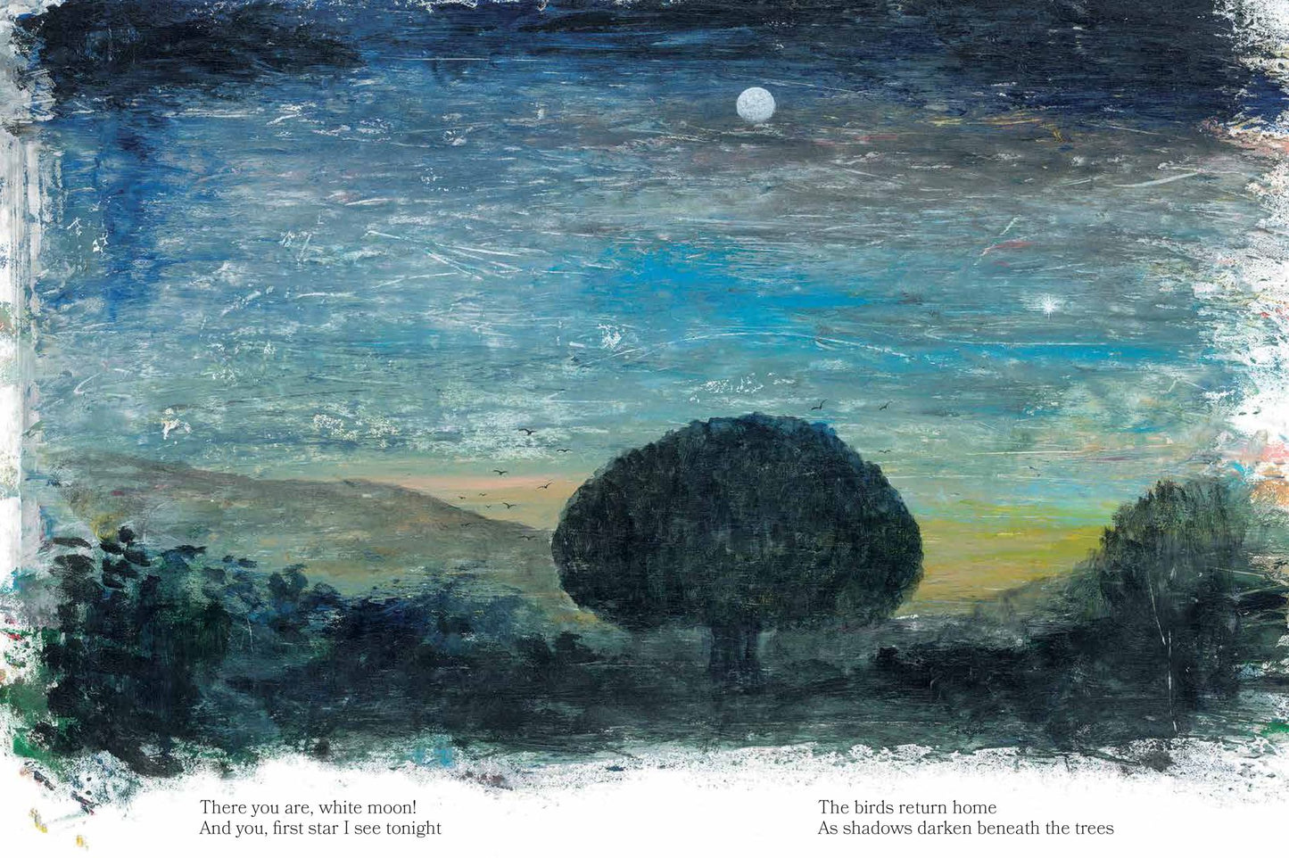 Every Color of Light: A Book about the Sky