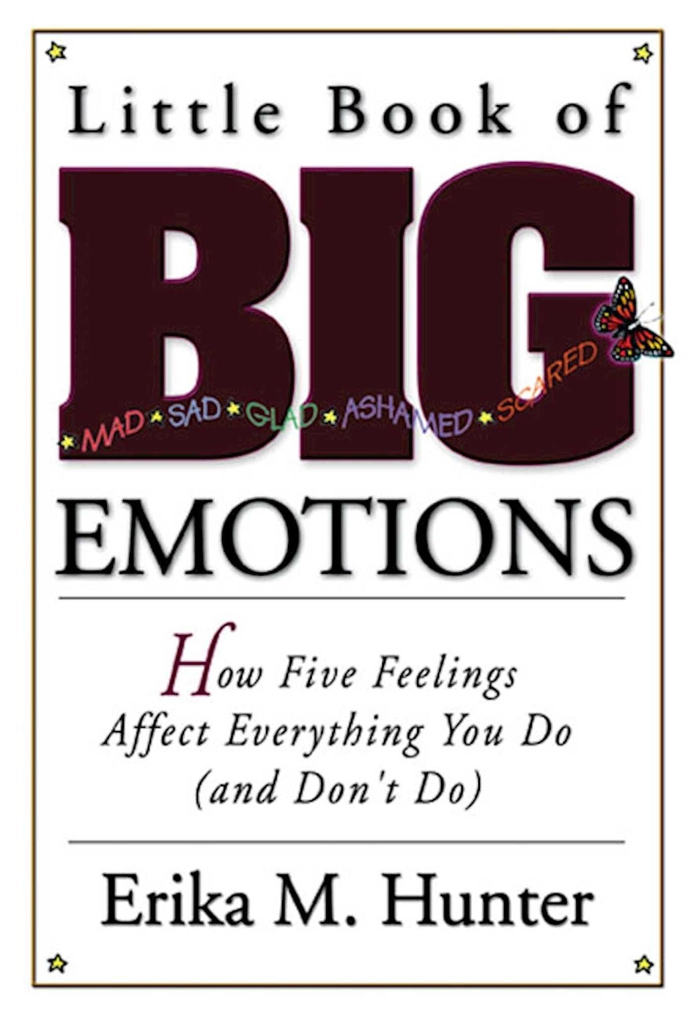 Little Book of Big Emotions: The Five Feelings that Affect Everything You Do (And Don't Do)