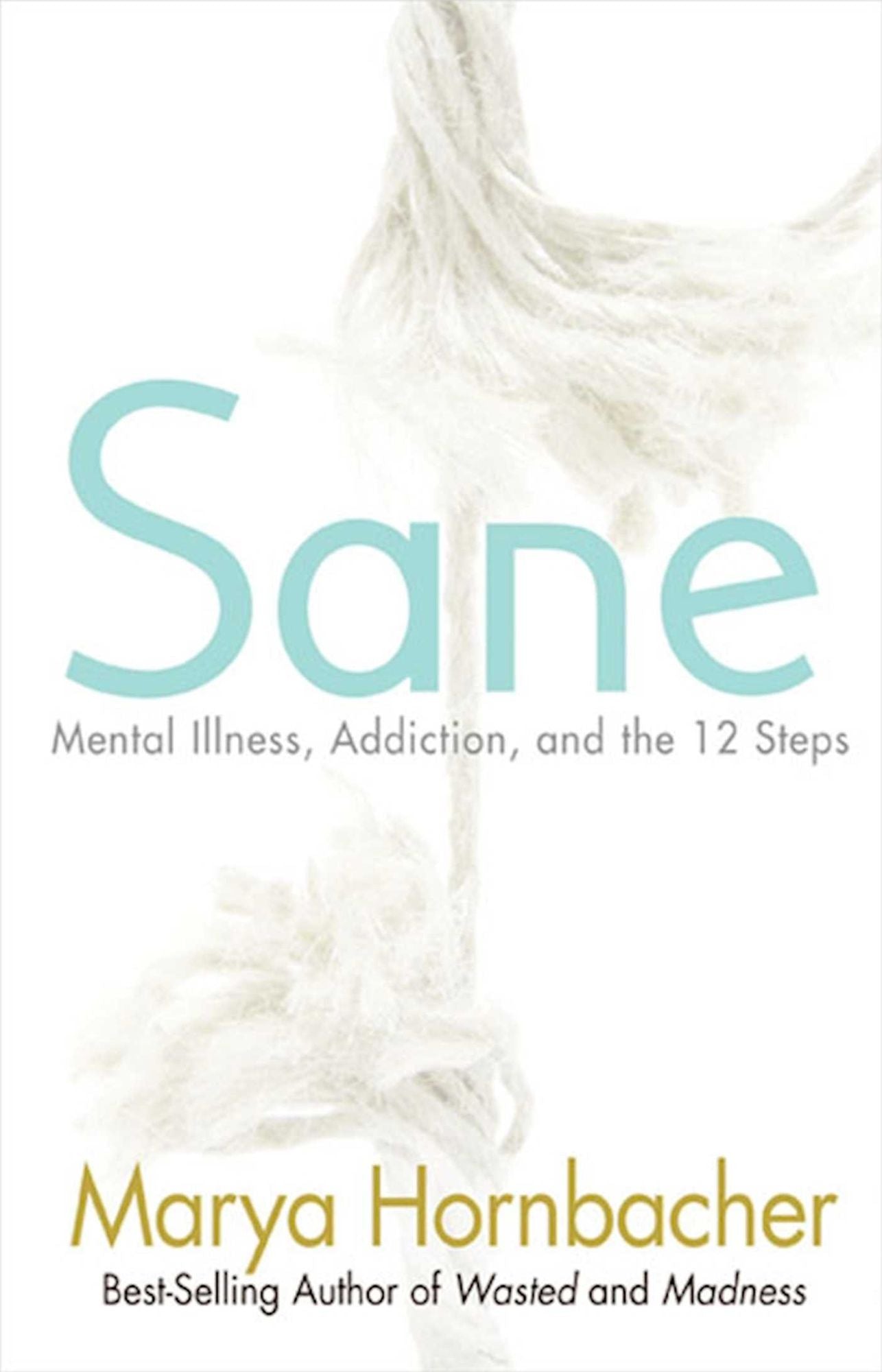 Sane: Mental Illness, Addiction, and the Twelve Steps