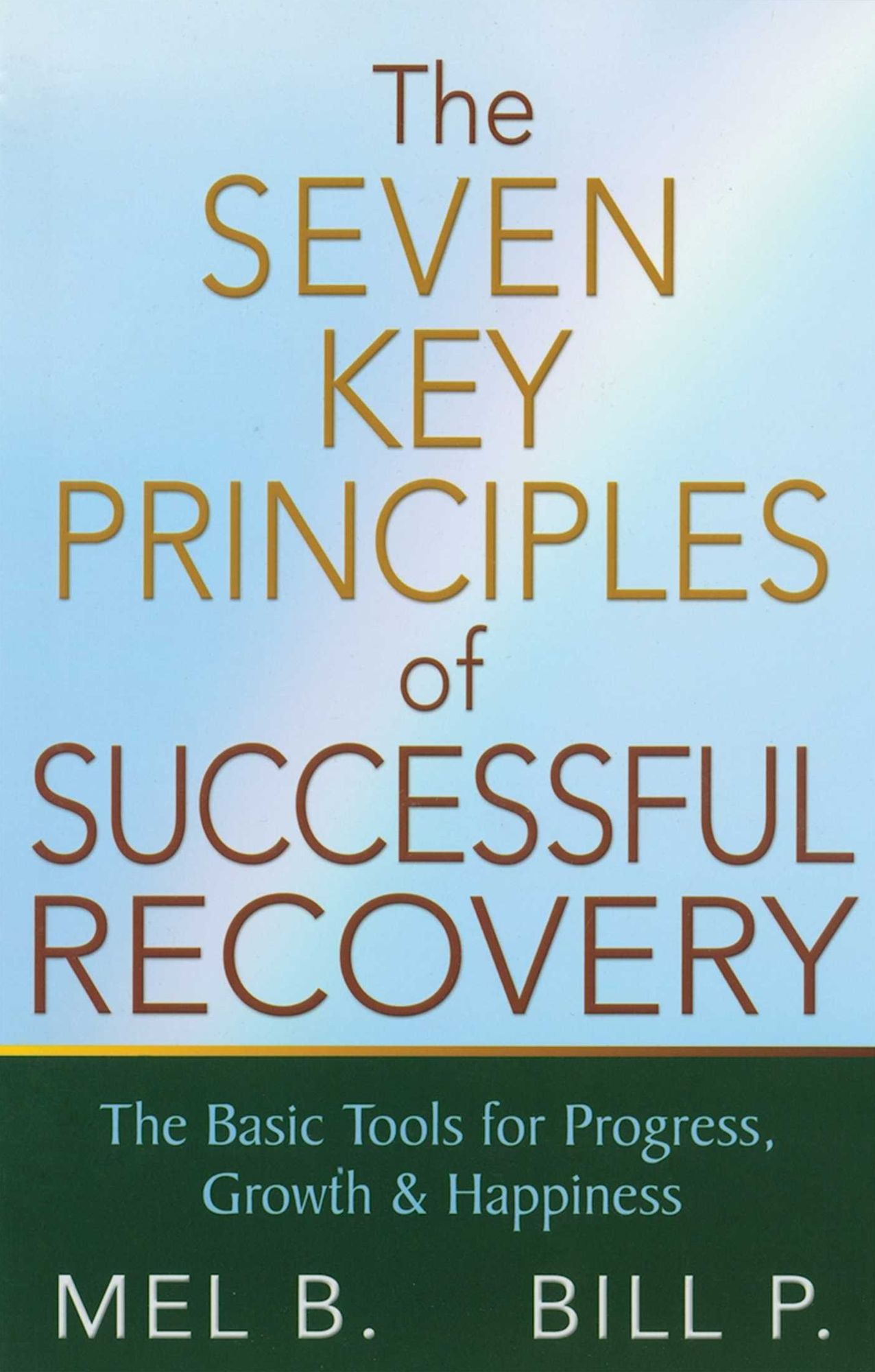 The 7 Key Principles of Successful Recovery: The Basic Tools for Progress, Growth, and Happiness